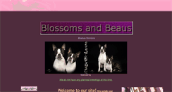 Desktop Screenshot of blossomsandbeaus.com