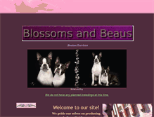 Tablet Screenshot of blossomsandbeaus.com